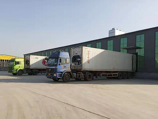 Shijiazhuang Xingguan Import and Export Trading Co., Ltd.