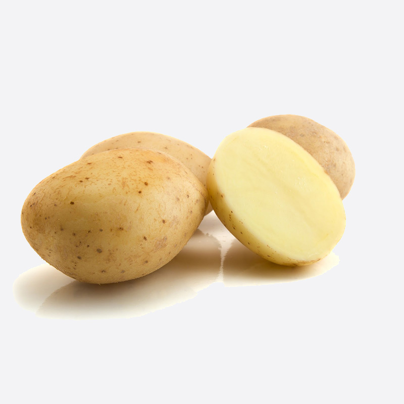 Potato