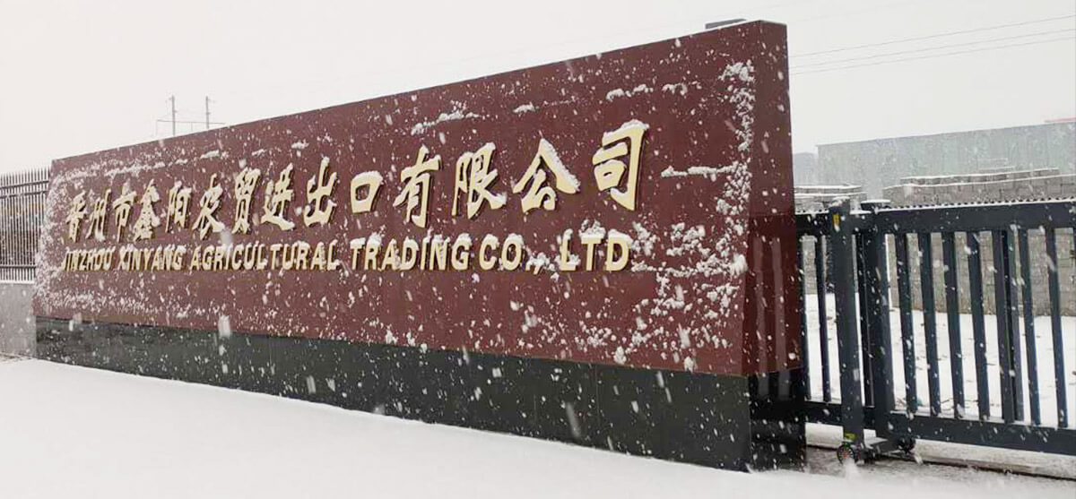 History ----started with XinYang, changed to XiongHan in 2019. Trading as XingGuan.